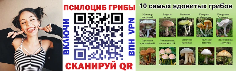 купить   Канск  Галлюциногенные грибы мицелий 