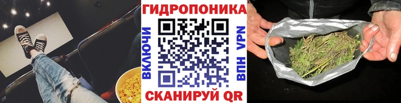 Бошки марихуана планчик  кракен tor  Канск 